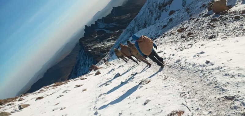 Mount Kenya: 4-Day Climbing Experience from Nairobi - Authentic Experiences and Traveler Insights