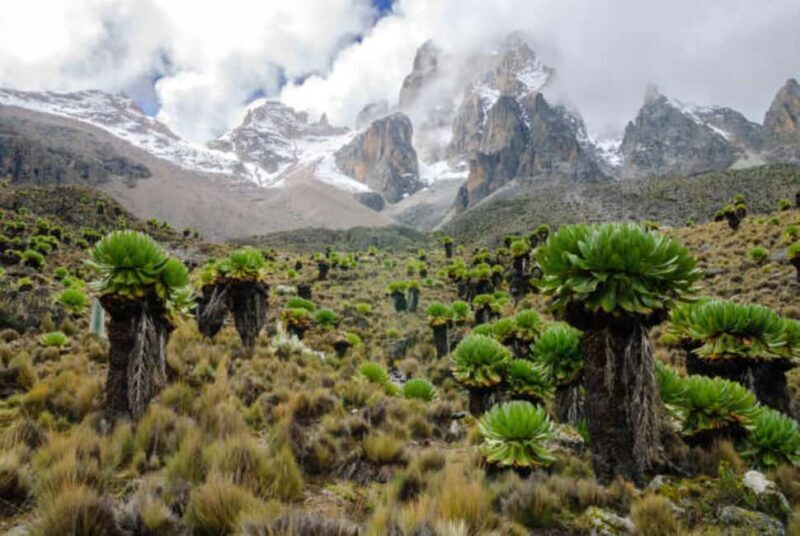 Mount Kenya Tour from Nairobi with lunch - The Experience’s Strengths and Considerations