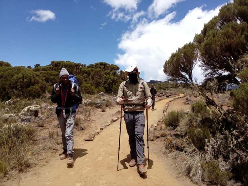 Mount Kilimanjaro: 6-Day Machame Route Christmas Trek - Key Points