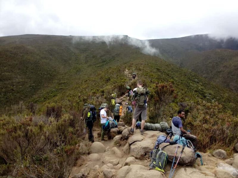 Mount Kilimanjaro: 6-Day Machame Route Christmas Trek - An Overview of the Experience