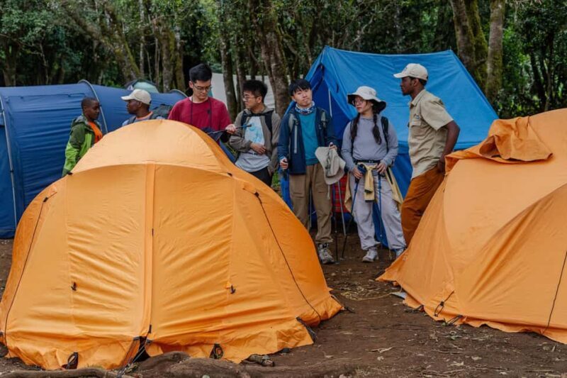 Mount Kilimanjaro: 7 Days Hike Lemosho Route - Final Thoughts