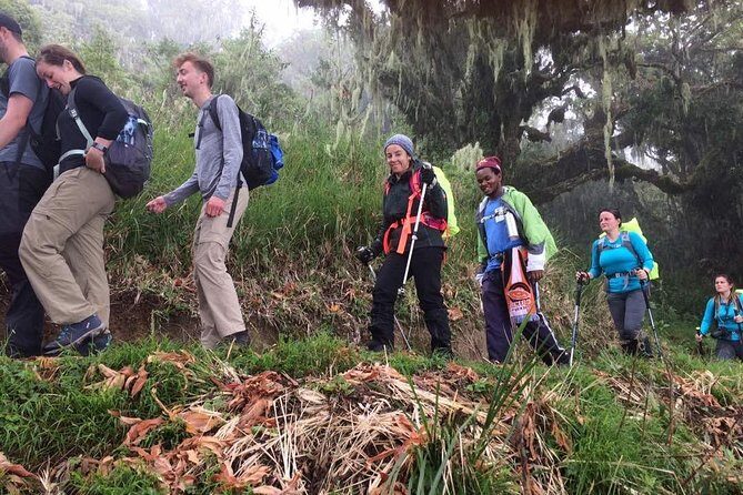 Mount Kilimanjaro 7 Days - Machame Route - The Authentic Experience