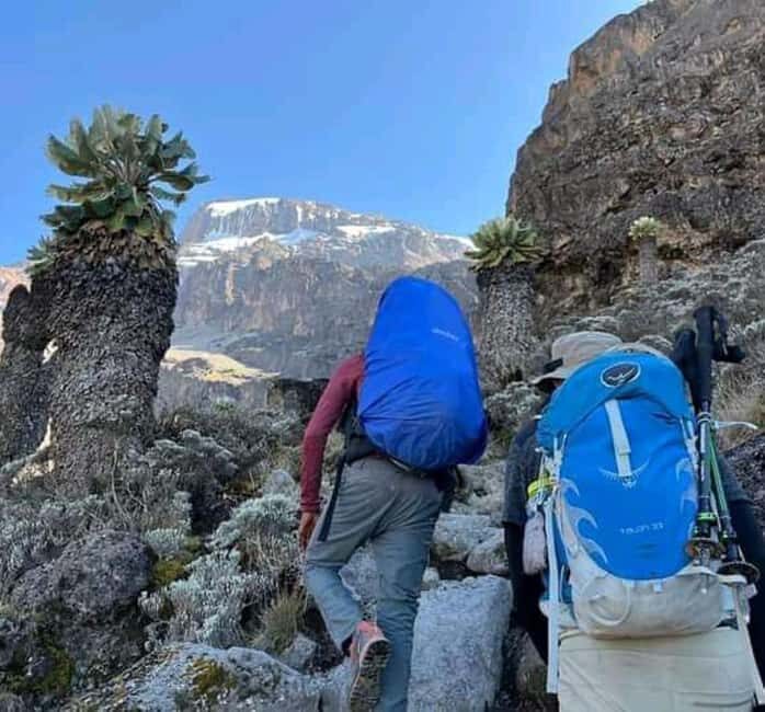 Mount Kilimanjaro: 7 Days Trekking - Lemosho Route - The Starting Line: Pre-Climb in Moshi