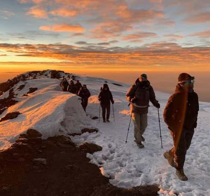 Mount Kilimanjaro: 7 Days Trekking - Lemosho Route - Day 6: The Summit Night – Barafu to Uhuru Peak and Down