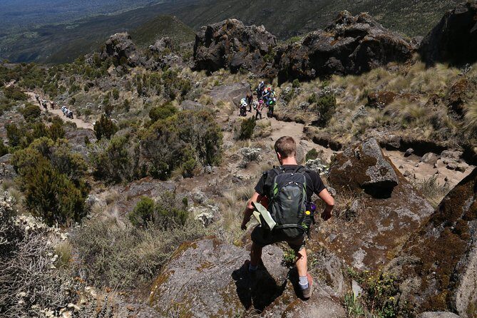 Mount Kilimanjaro Day Hike - Authentic Encounters and Traveler Feedback