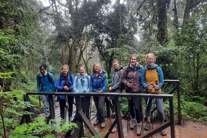Mount Kilimanjaro Day Hike Through Marangu Route to Mandara Hut - Who Is This Tour Best For?