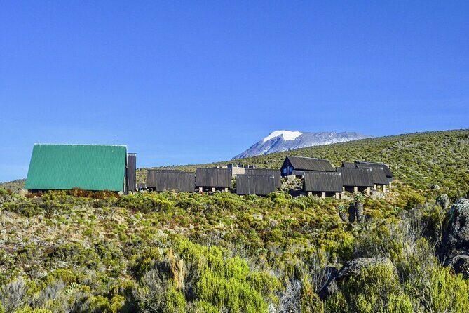 Mount Kilimanjaro Day Hike Through Marangu Route to Mandara Hut - FAQ