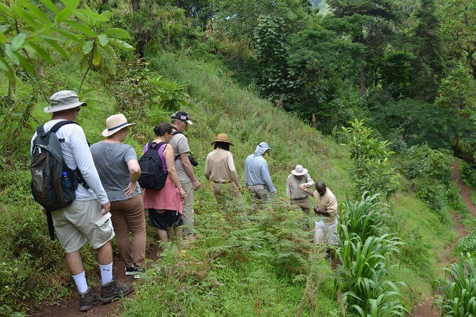Mount Kilimanjaro day trip trekking - Authenticity and Quality