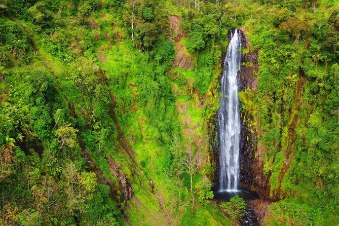 Mount Kilimanjaro day trip trekking - Value and Booking