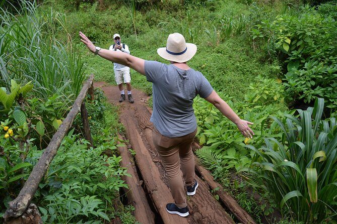 Mount Kilimanjaro day trip trekking - FAQ