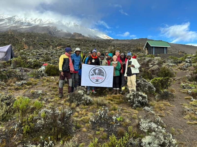 Mount Kilimanjaro: Lemosho Route 7-Day Trek - An In-Depth Look at the Lemosho Route Trek