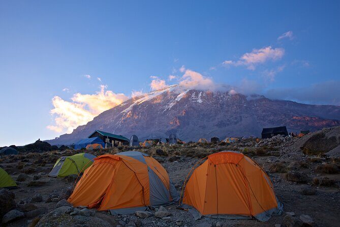 Mount Kilimanjaro - Machame route - What Travelers Say: Authentic Voice and Insights