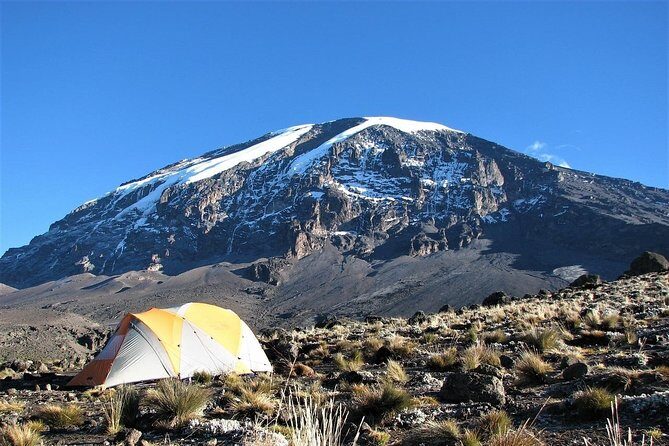 Mount Kilimanjaro Trek 7-Days: Lemosho Route - Introduction: Why Consider the Lemosho Route?