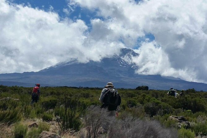 Mount Kilimanjaro Trek 8 days Lemosho Route - Final Thoughts