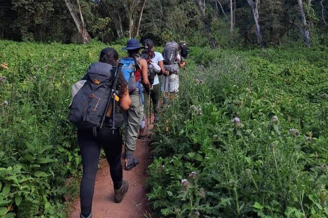 Mount Kilimanjaro via Umbwe Route 6 days Climb - Who Is This Tour Best For?
