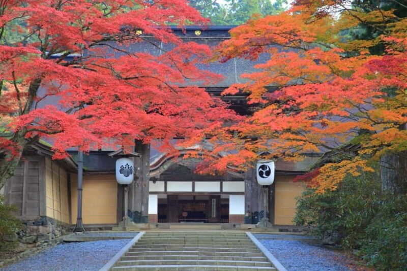Mount Koya from Osaka: Cultural Small Group Day Tour - Discovering Japan’s Sacred Mountain: What You Can Expect