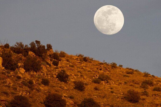 Mount Lemmon Self-Guided Driving Audio Tour - What Travelers Say