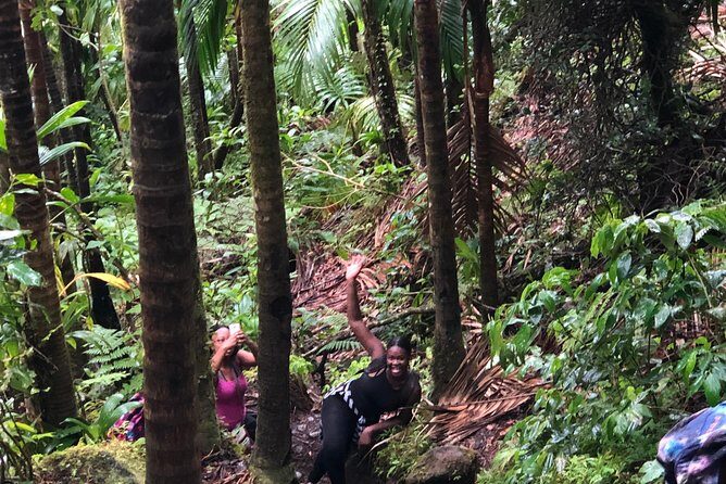 Mount Liamuiga Volcano Tours - Key Points
