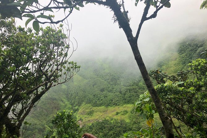 Mount Liamuiga Volcano Tours - Practical Tips for Travelers