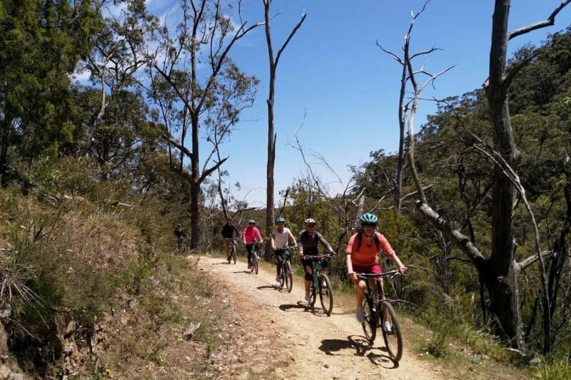 Mount Lofty Downhill Bike Tour & Cleland Wildlife Park Visit - The Route: From Summit to Suburbs with a Wildlife Interlude