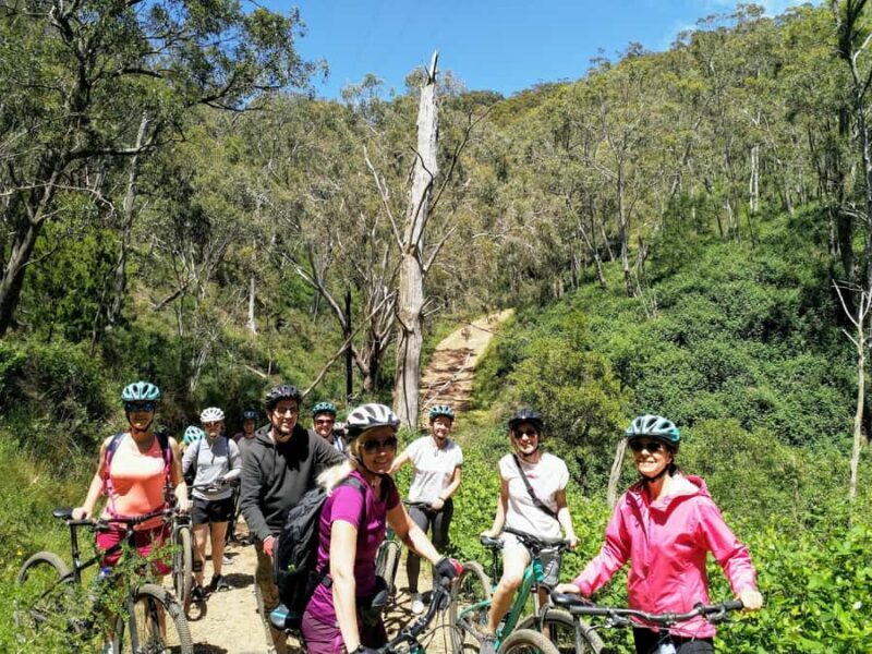 Mount Lofty Downhill Bike Tour & Cleland Wildlife Park Visit - Practical Details and Experience Value