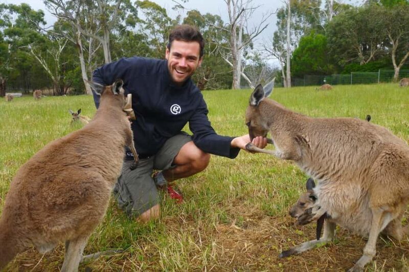 Mount Lofty Downhill Bike Tour & Cleland Wildlife Park Visit - Who Will Love This Tour?