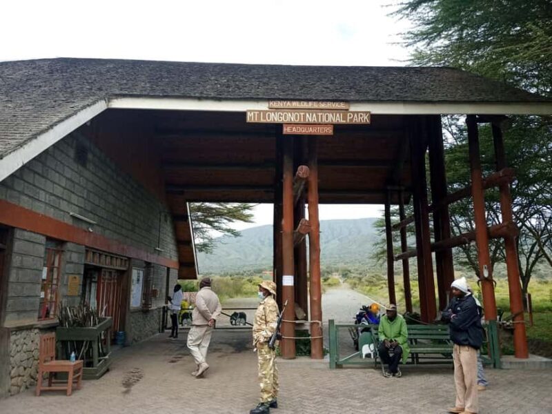 Mount Longonot Day Hiking From Nairobi - An In-Depth Look at the Mount Longonot Day Hike