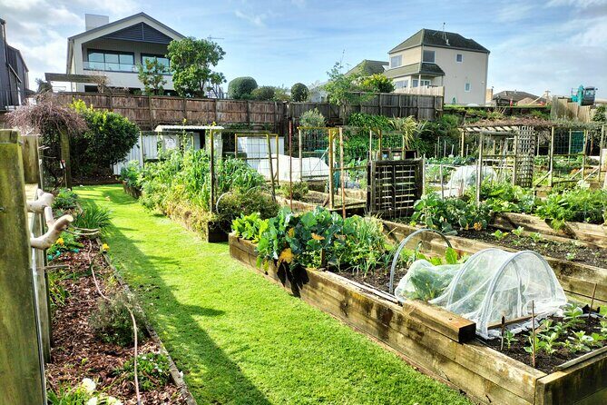 Mount Maunganui Hkoi Walking Tour - Practical Details: What You Need to Know