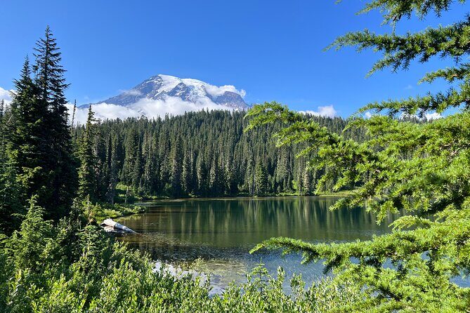Mount Rainier Customized Tour from Seattle - Key Points
