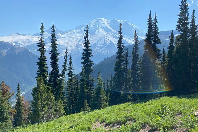 Mount Rainier Day Hike - What Travelers Say