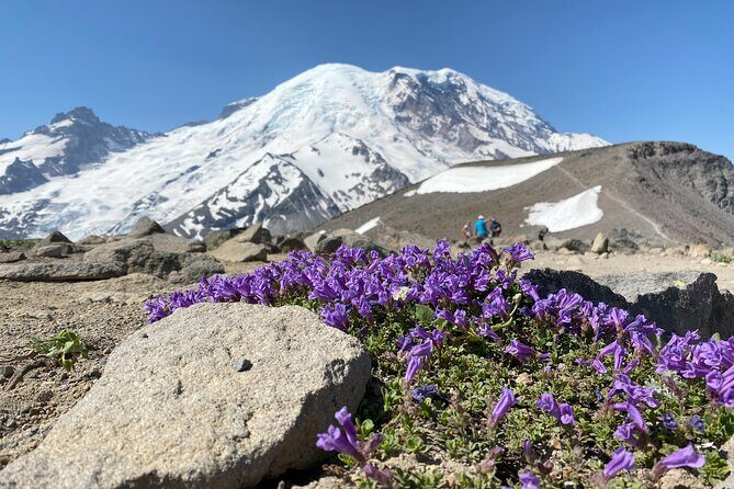 Mount Rainier Day Hike - Who Will Love This Tour?