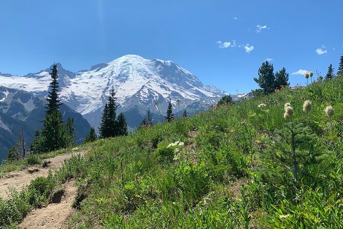 Mount Rainier Full Day Private Tour and Hike - An In-Depth Look at the Mount Rainier Private Tour