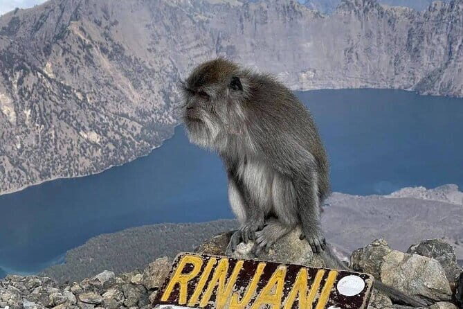 Mount Rinjani 2D 1N trekking to summit - Final Thoughts