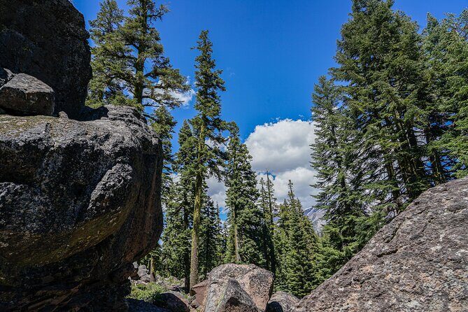 Mount Shasta Guided Tour - Exploring the Itinerary in Detail