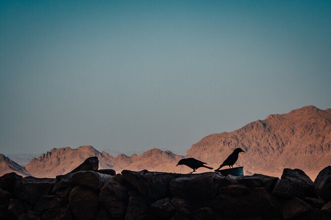 Mount Sinai "Moses Mountain" and St. Catherine Monastery Tour - Authentic Experience and Authenticity