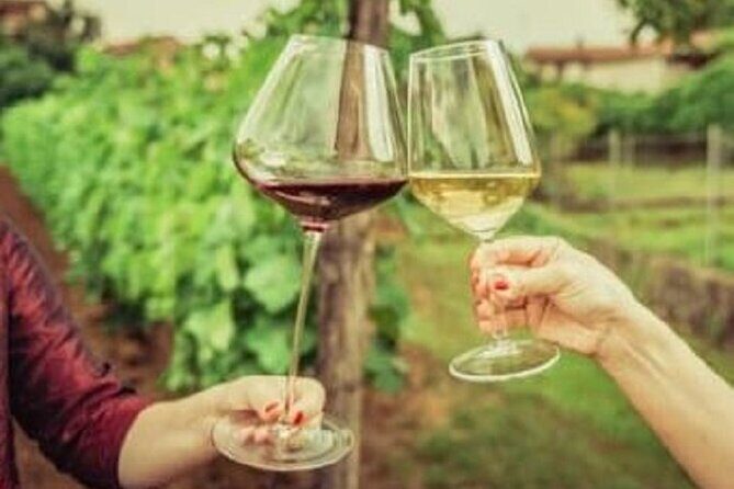 Mount Tamborine Deluxe Wine Tasting with Two Course Lunch - Authentic Experiences and Traveler Feedback
