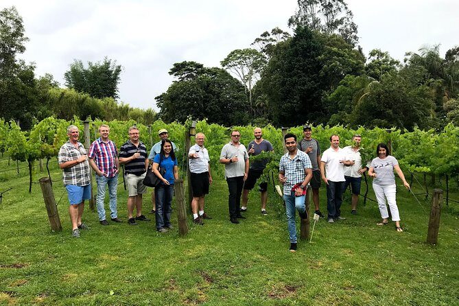 Mount Tamborine Winery Tour with Gourmet lunch - Final Thoughts