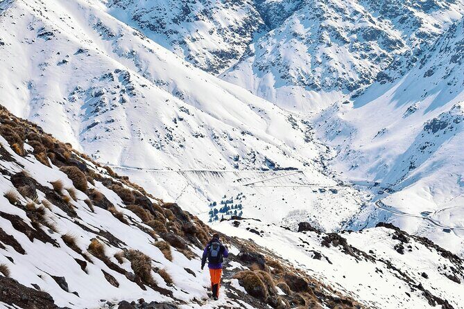 Mount Toubkal Ascent 2 Days Trek from Marrakech - What Travelers Say