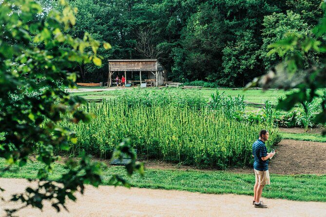 Mount Vernon and Old Town Alexandria Day Trip from Washington DC - FAQ: Practical Questions About This Tour
