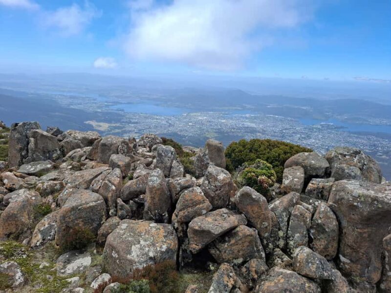 Mount Wellington Shore Excursion - The Itinerary: What to Expect on Your Mount Wellington Day Trip