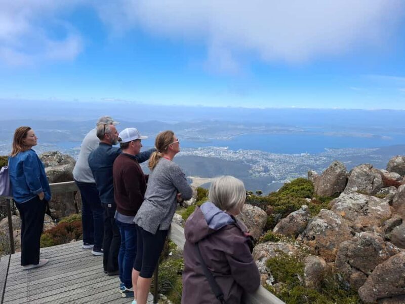 Mount Wellington Shore Excursion - What the Reviews Say