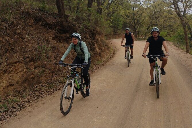 Mountain and city cycling. - The Experience for Different Types of Travelers
