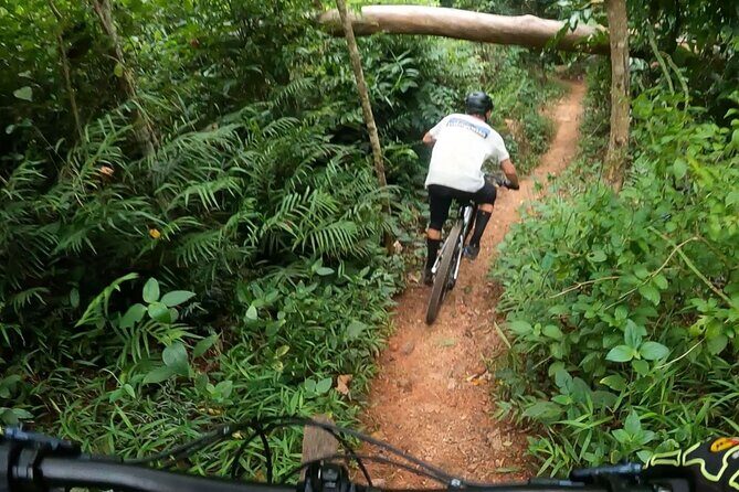 Mountain Bike Tour - Cairns - Key Points