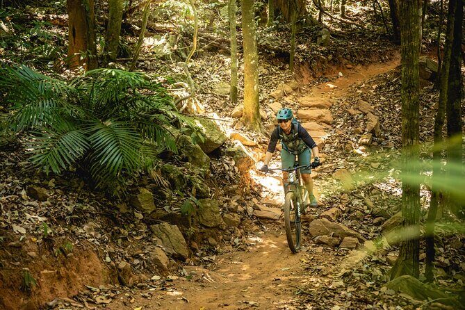 Mountain Bike Tour - Cairns - Discover Cairns’ Trailblazing Mountain Biking Scene