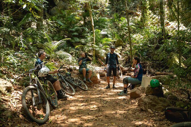 Mountain Bike Tour - Cairns - Authentic Experiences and Traveler Feedback