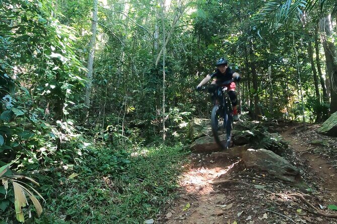 Mountain Bike Tour - Cairns - Authenticity and Value