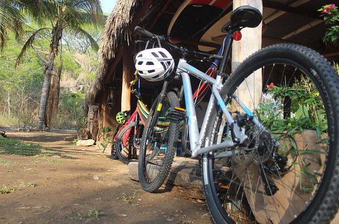 Mountain Bike Tours - An In-Depth Look at the Tour Experience