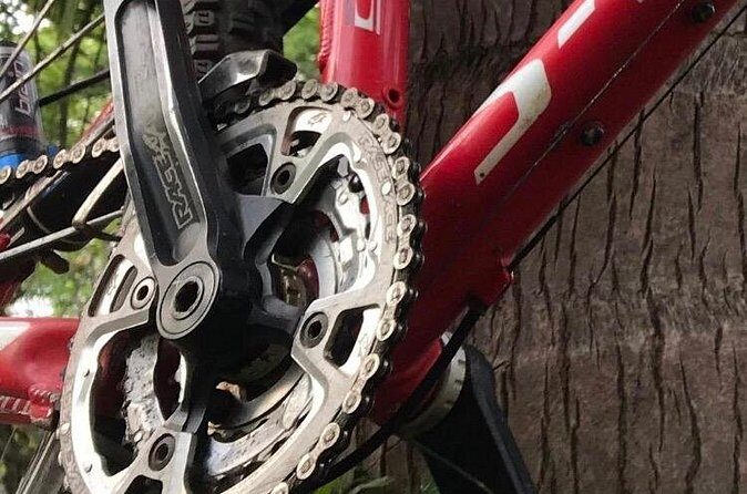 Mountain Bike Tours - Who Should Consider This Tour?