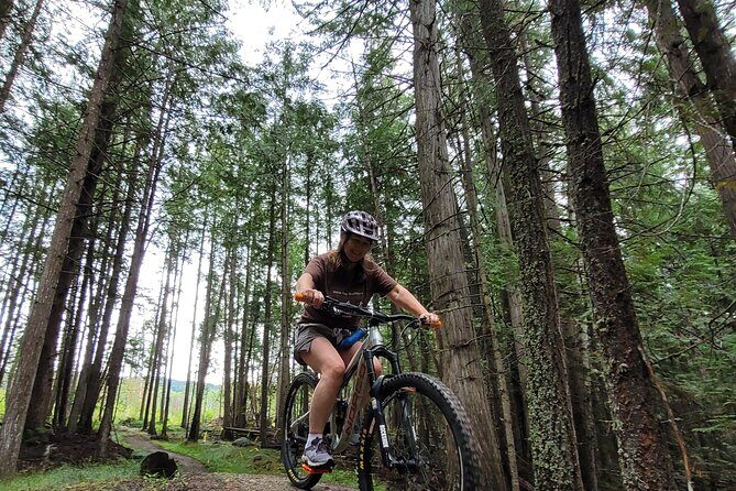 Mountain Biking in Wells Gray - What’s Included in the Tour?