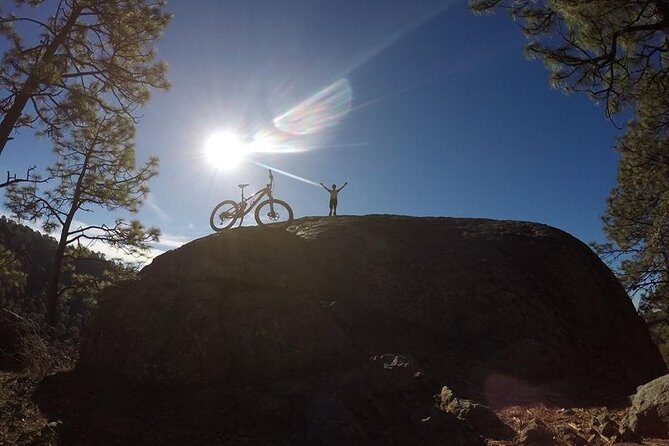 Mountain Biking Tour at La Primavera Forest - Explore the Outdoors with a Mountain Biking Tour at La Primavera Forest